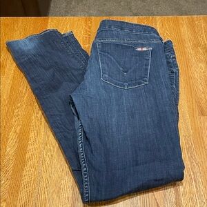 Hudson Women's Blue Jeans